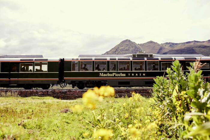 Tour to Machu Picchu by Train 2 Days